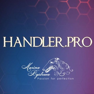 HANDLER.PRO