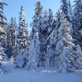 ЗЕМЛЯ СИБИРИ