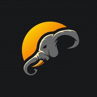 ШРИ-ЛАНКА 360° | ХИККАДУВА