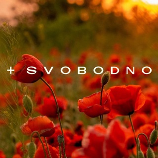 SVOBODNO_BRAND