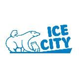 ICE CITY