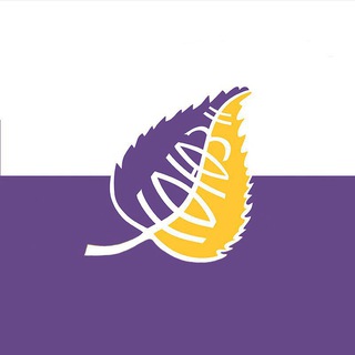 НОВОСТИ ОТ СОЗДАТЕЛЯ