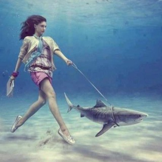 MUSCAT ENGLISH | IELTS, TOEFL | РЕПЕТИТОРЫ, ПРЕПОДАВАТЕЛИ, СТУДЕНТЫ