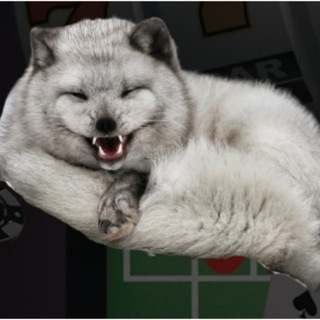 ПИСЕЦ КАНАЛ: КОНКУРСЫ, БОНУСЫ И ЗАНОСЫ!