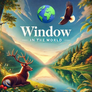 WINDOW IN THE WORLD