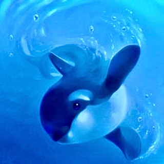 ПОДВОДНЫЙ МИР 