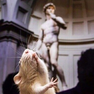 КРІСУЛЬКЕНИ