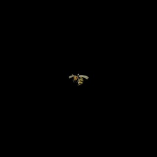 WASP KILLER STORE