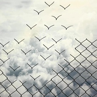 ОШИБКА ВЫЖИВШЕГО