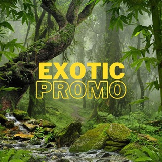 EXOTIC PROMO
