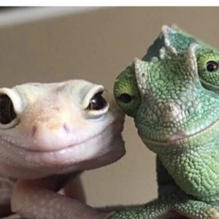 НОЖЕНЬКА МОЯ, ТЫ УСТАЛА