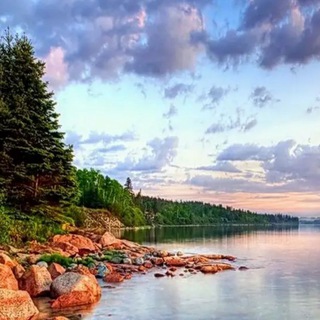 ЗАЛИПАТЕЛЬНО