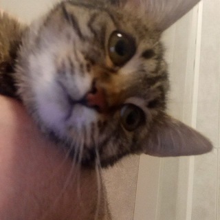 ПОЛЁТ ФАНТАЗИИ ПОД ВЕЩЕСТВАМИ