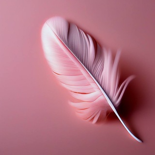 ПЕРЬЯ И ЛЕНТЫ