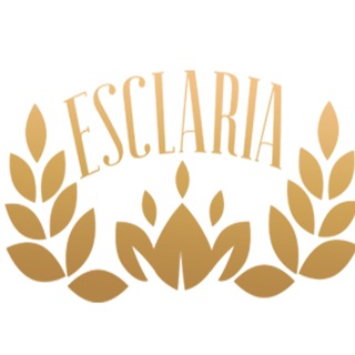 ESCLARIA TEAM