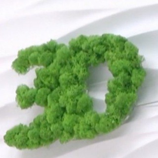 3Д ГАСТРО - ПРОСТО, ДОСТУПНО О ПРОБЛЕМАХ ПИЩЕВАРЕНИЯ.