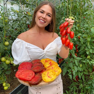 ОГОРОД С ЗИЗЮЛЕЙ