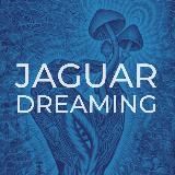 JAGUAR DREAMING | ГИПНОКОУЧИНГ | THE HEALER