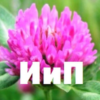 ИНТЕРЕСНО И ПОЗНАВАТЕЛЬНО (ИИП)