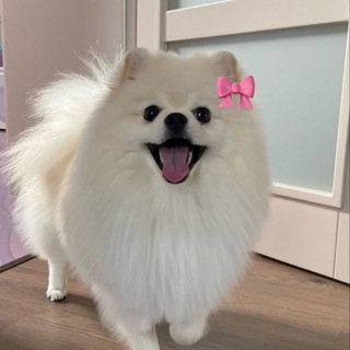 ШМОТ ОТ МЕДЖИКА