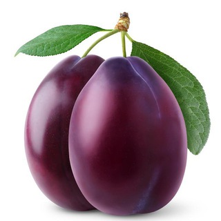 ГРОДНЕНСКИЕ СЛИВЫ - НОВОСТИ ГРОДНО