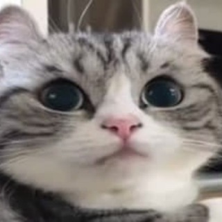 ВОРК В КРИПТЕ, ТОЛЬКО ХАРДКОР