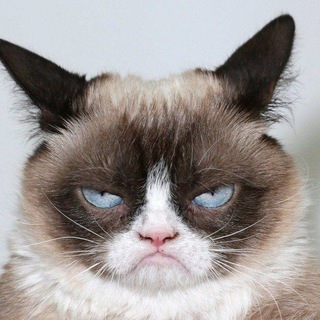 БУХТЕЛЬНАЯ