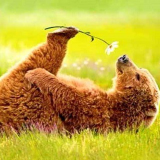 ПРОСТЫЕ УДОВОЛЬСТВИЯ