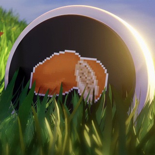 КРИПТАПИРАЖОК