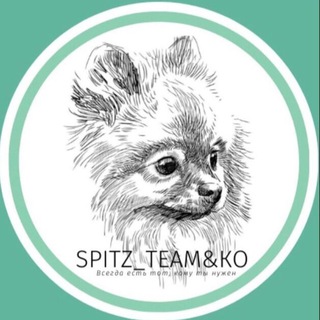 SPITZ_TEAM&KO ШПИЦ ТИМ