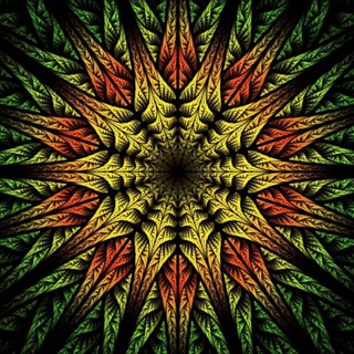 PSYCHEDELIC VIDEOS