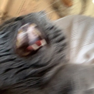 КАРАВАН АХУИТЕЛЬНЫХ ИСТОРИЙ