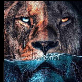 МОТИВАЦИЯ | DUSHEVN01 | САМОРАЗВИТИЕ