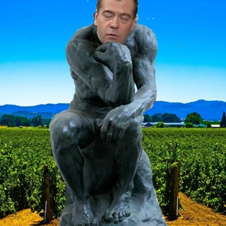 ДМИТРИЙ МЕДВЕДЕВ ДУМАЕТ