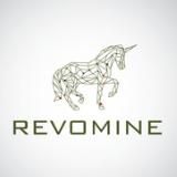 REVOMINE- INVESTMENT GROUP