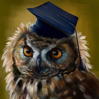 QUIZ | ГОЛУБЬ ЗНАНИЙ 