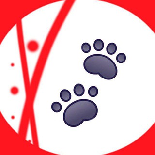 •ПУШИСТЫЕ НОВОСТИ МОСКВЫ! | МОСКВА ЖИВОТНЫЕ | PETS