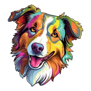 СОБАКА МОЖЕТ БОЛЬШЕ - БЛОГ КИНОЛОГА