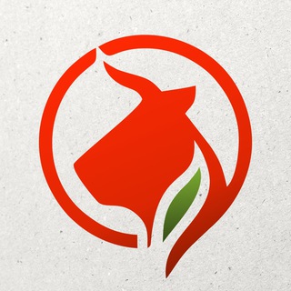 МЯСО ЕСТЬ - АНДРЕЙ ЗДЕСЬ