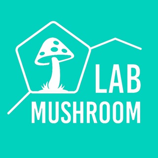 MUSHROOM LAB