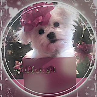 ПⷫОⷪМⷨОⷪЩⷳЬⷺ ✶ В⃨Ю⃨꙳⋆⊹