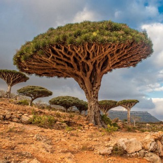 ОТКРЫТЫЙ МИР