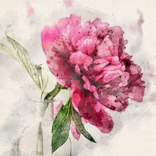 ОТКРЫТКИ ДОБРОЕ УТРО