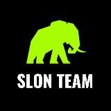 SLON TEAM  (ОБЗОР)