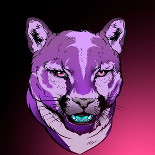 TON МЕТА-ПАНТЕРЫ