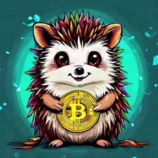 СОКРОВИЩЕ ЕЖИКА