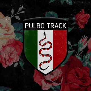 ᴘᴜʟʙᴏ ᴛƦᴀᴄᴋ | МУЗЫКА | СОХРЫ