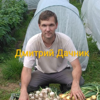 ДМИТРИЙ ДАЧНИК