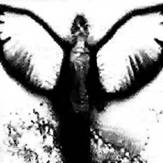 СТРЕМЛЕНИЕ К ХУДШЕМУ