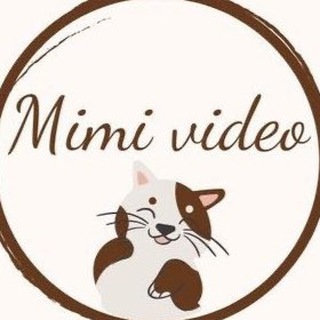 MIMI_VIDEO ЖИВОТНЫЕ